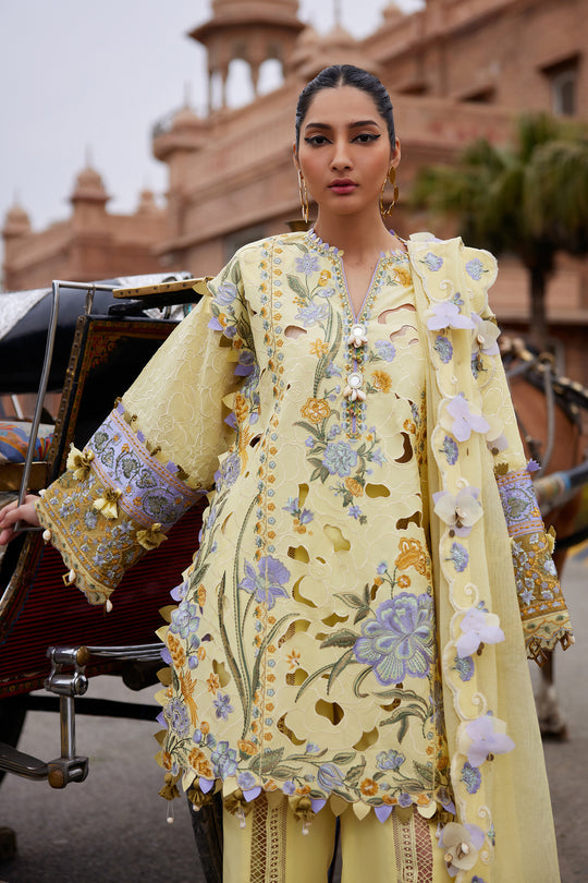 Elan Lawn`25 AMARA (09 A)