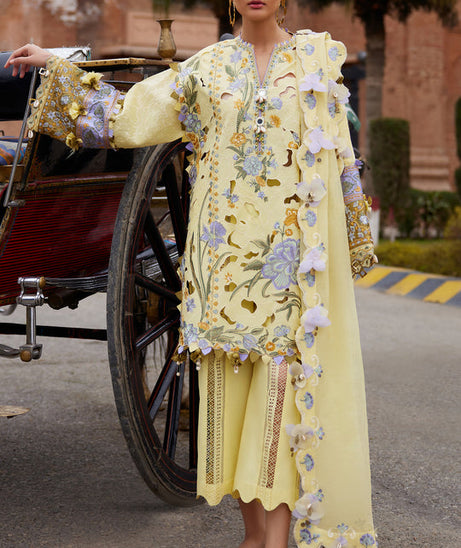 Elan Lawn`25 AMARA (09 A)