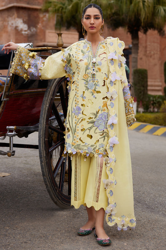 Elan Lawn`25 AMARA (09 A)