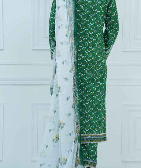 VS Aiza Momina C/Kari Lawn`25 D#67