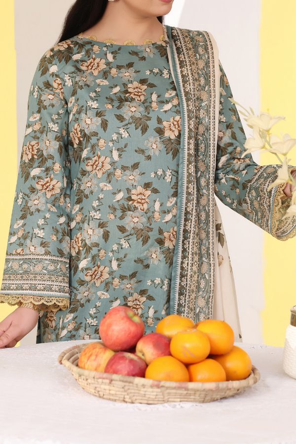 VS Daman Exc/Lawn'26 D# 789 (G Grey)