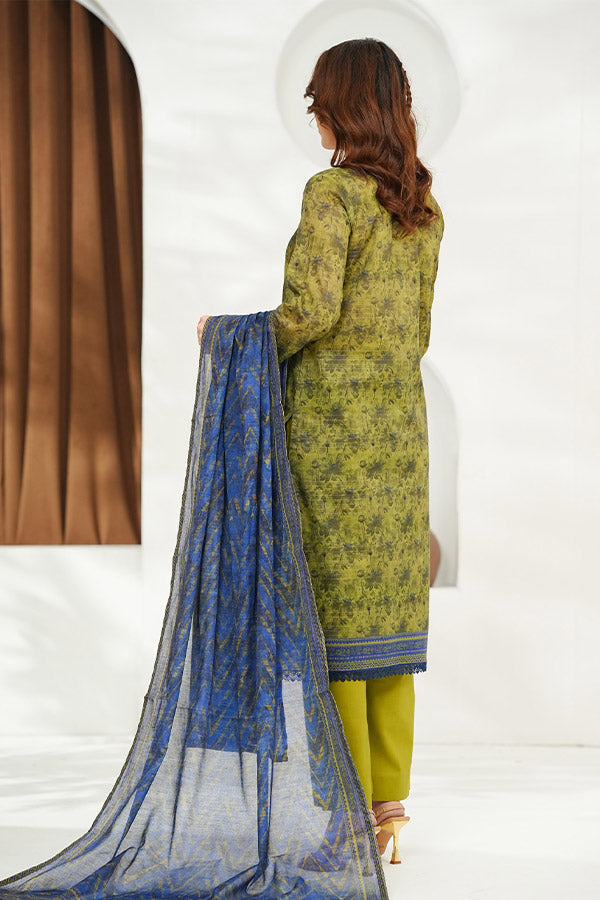 VS Shahkaaar Lawn`26 D#827 M-Green