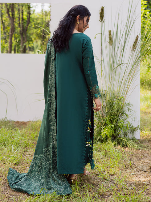 Parishay Winter Wood Tales'25 WW#08