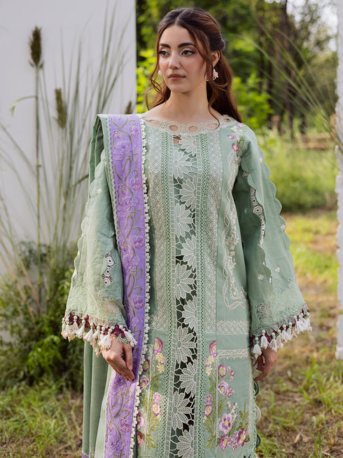 Parishay Winter Wood Tales'25 WW#09