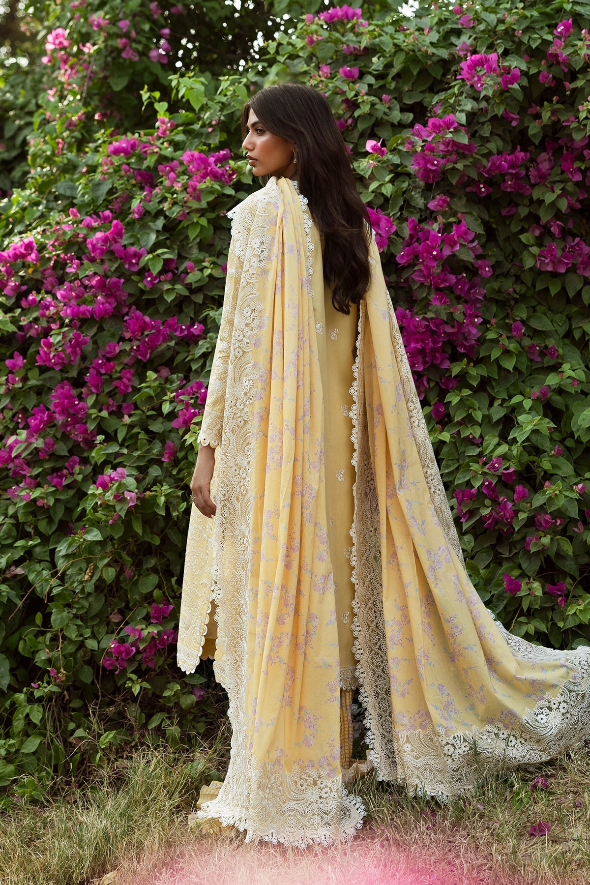 Afrozeh Mulaqaat F/Lawn`25 AL#01