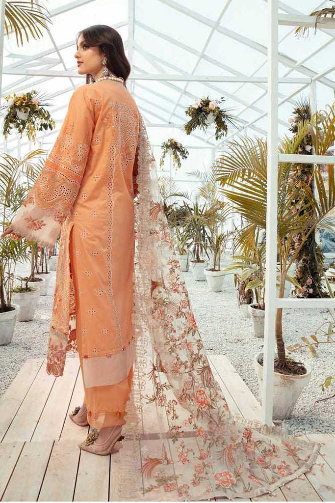 Muscari Premium Emb Lawn`22 D#01