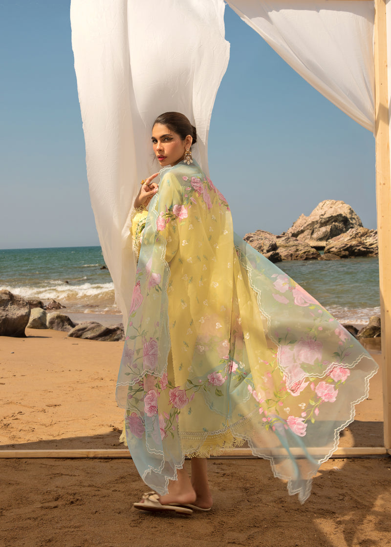 Crimson Lawn Collection'23 D#5 B