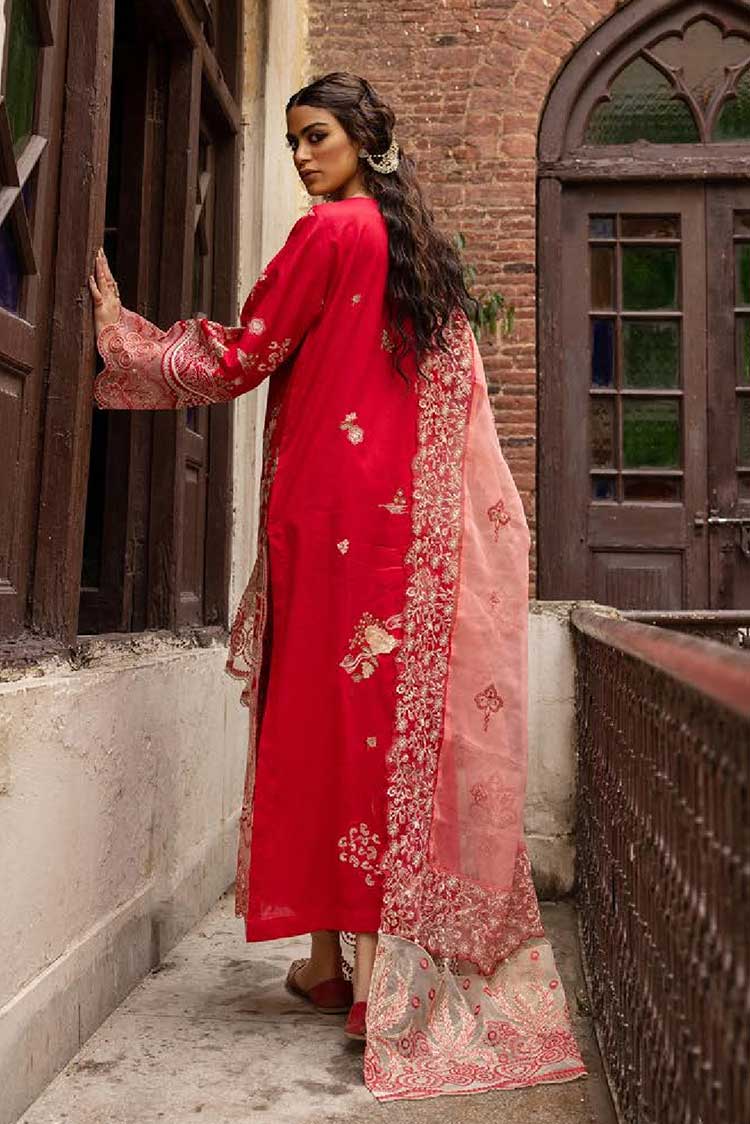 Muscari Premium E/Collection'23 D#09