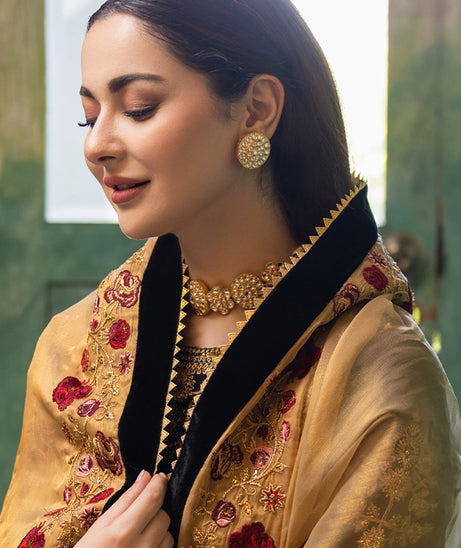 Zainab Chottani Velvet Collection`22 D#6