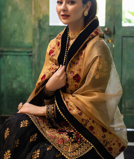 Zainab Chottani Velvet Collection`22 D#6