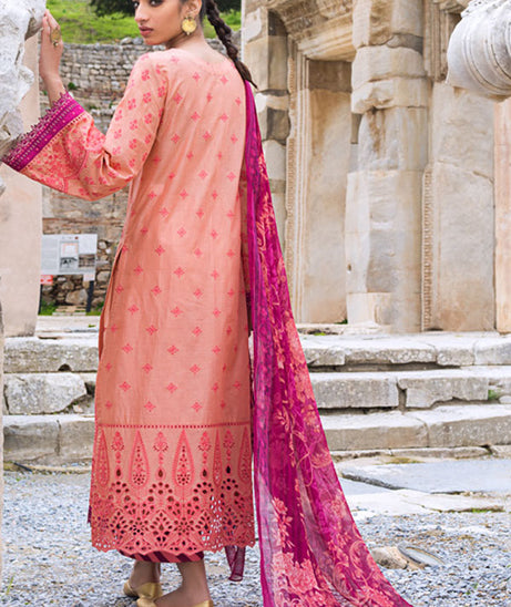 Zainab Chottani Luxury Lawn`21 D#10-A