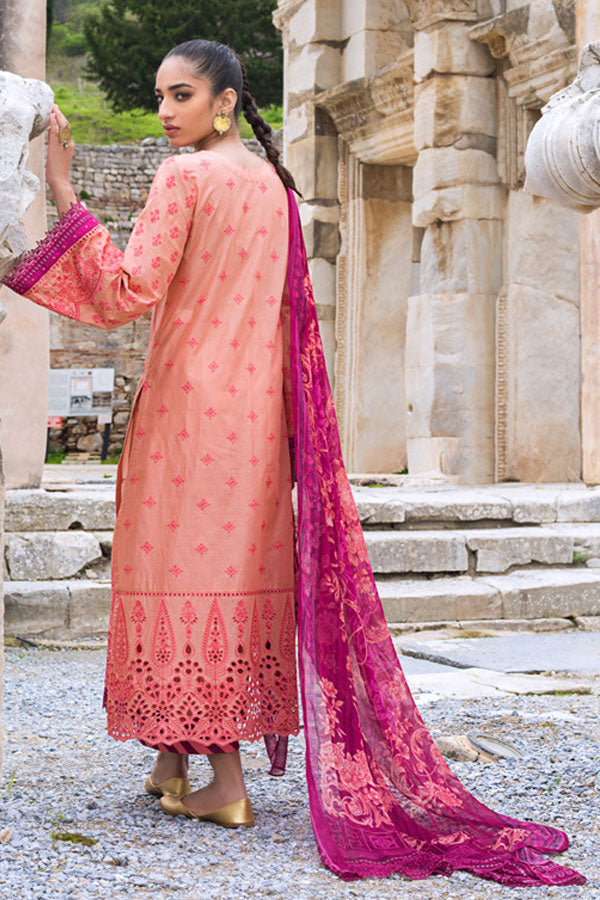 Zainab Chottani Luxury Lawn`21 D#10-A