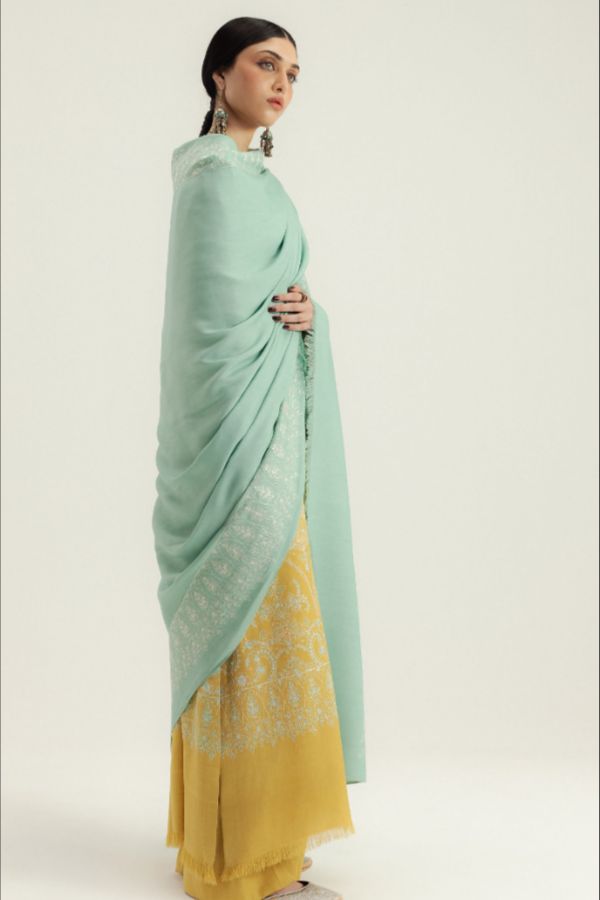 Zara Shahjahan Winter Unstitched`25 D#1