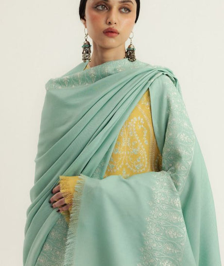 Zara Shahjahan Winter Unstitched`25 D#1