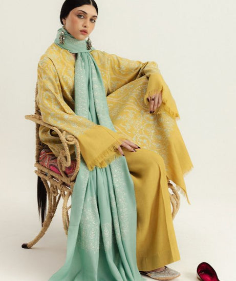 Zara Shahjahan Winter Unstitched`25 D#1