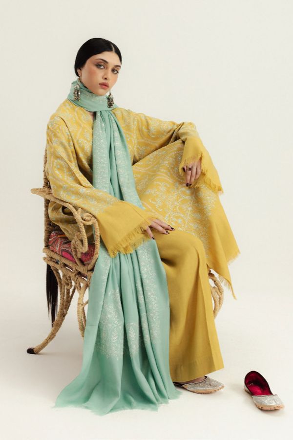 Zara Shahjahan Winter Unstitched`25 D#1