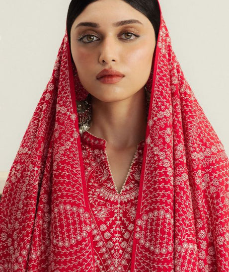 Zara Shahjahan Winter Unstitched`25 D#5