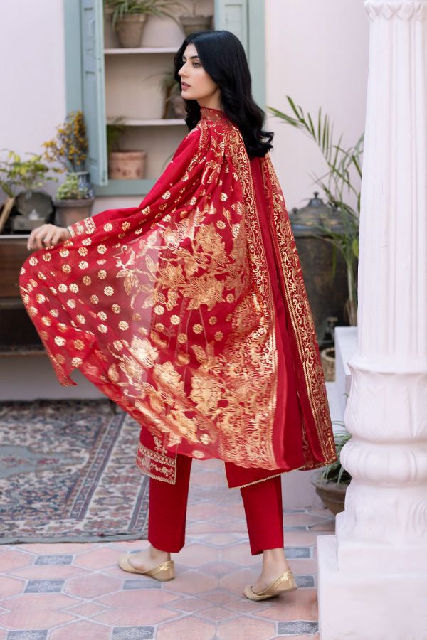 Zoha Festive Lawn`24 D#193