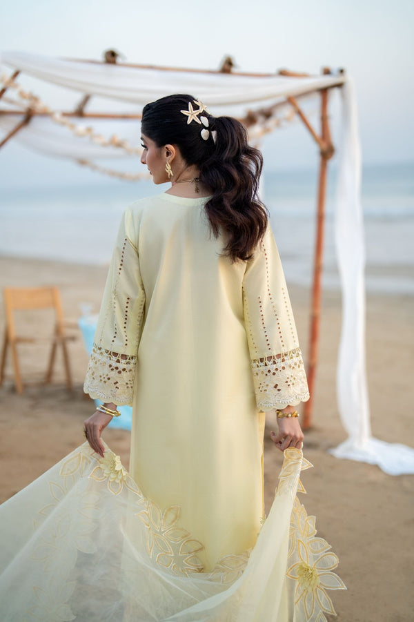 Aabyaan Saagar L/Lawn`25 AS#07