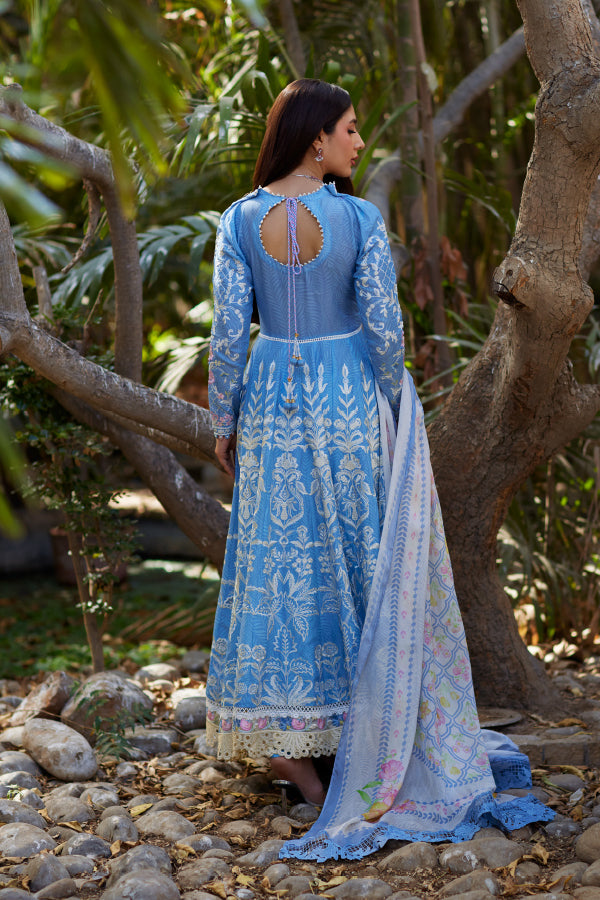 Mina Hasan Chikankari 2025 Baano