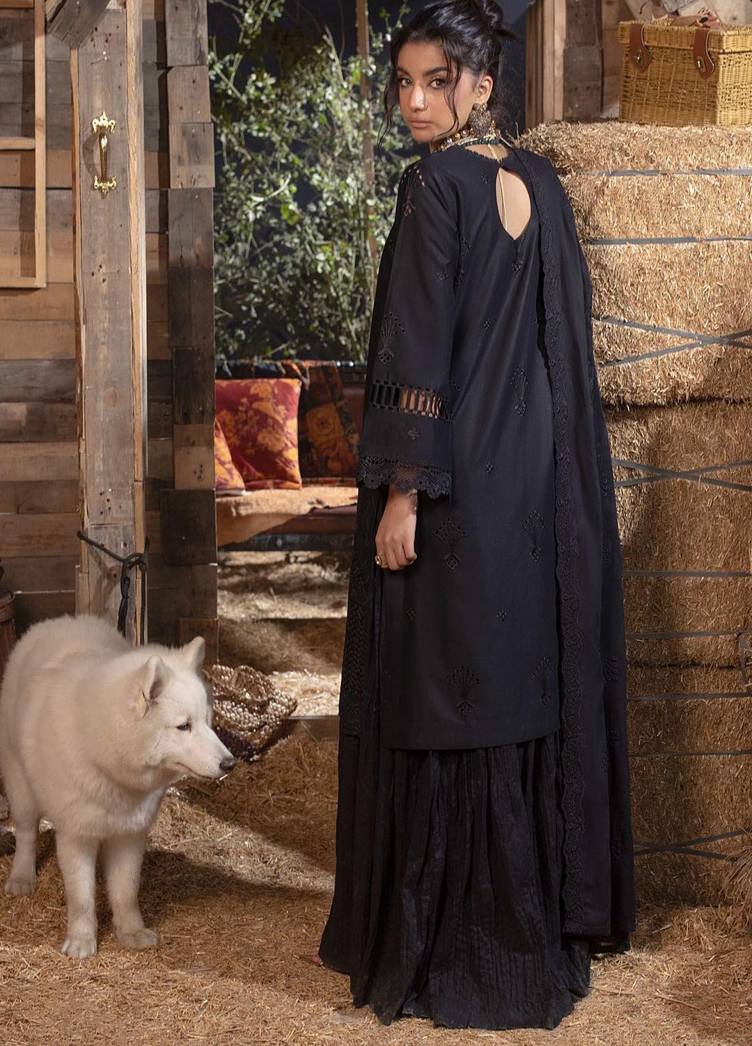 Mahnur Mehru Lawn'24 D#12