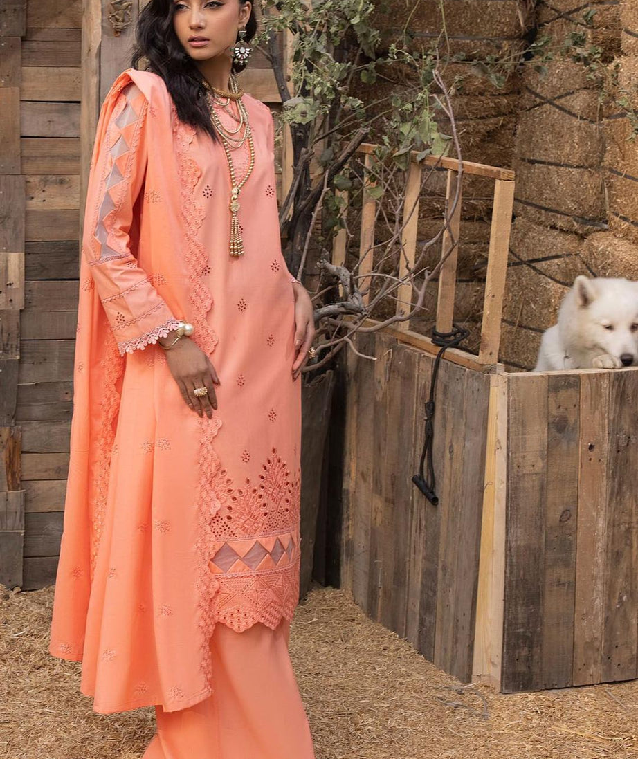 Mahnur Mehru Lawn'24 D#07