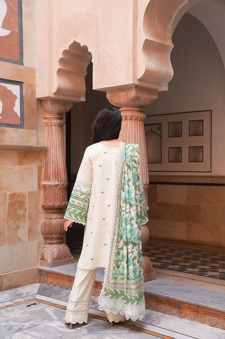 Manara Vintage Karandi Fall'24 MVK-11 (Rabail)