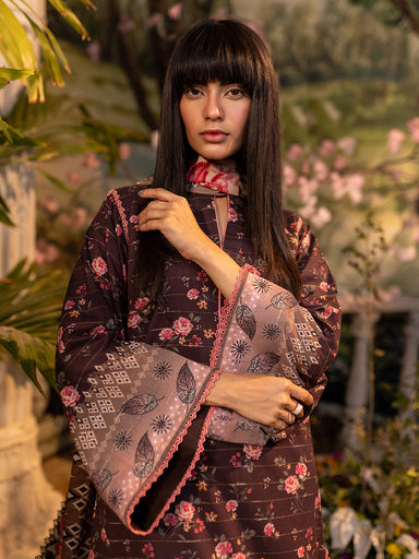 Salitex Zeb Lawn'24 D#10