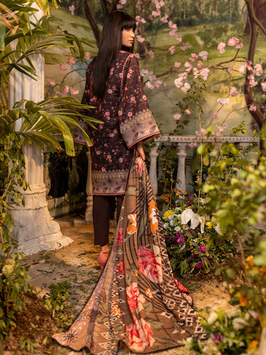 Salitex Zeb Lawn'24 D#10