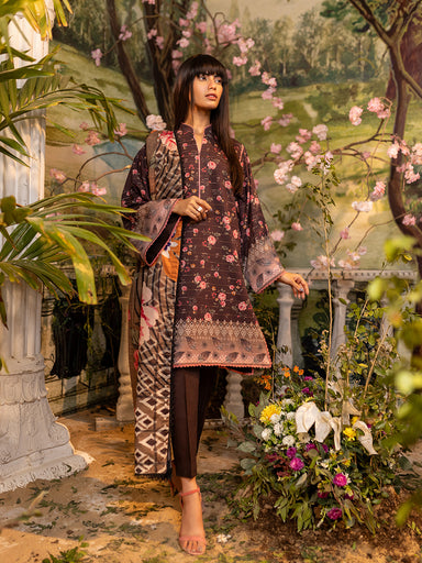 Salitex Zeb Lawn'24 D#10