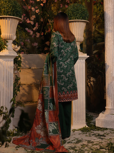 Salitex Zeb Lawn'24 D#1